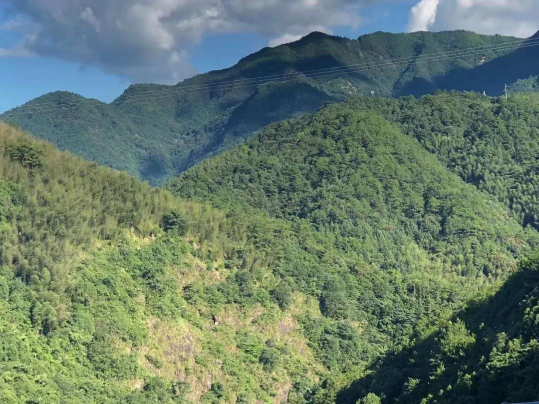 微信圖片_20200710092955.jpg 微信圖片_20200710092955.jpg